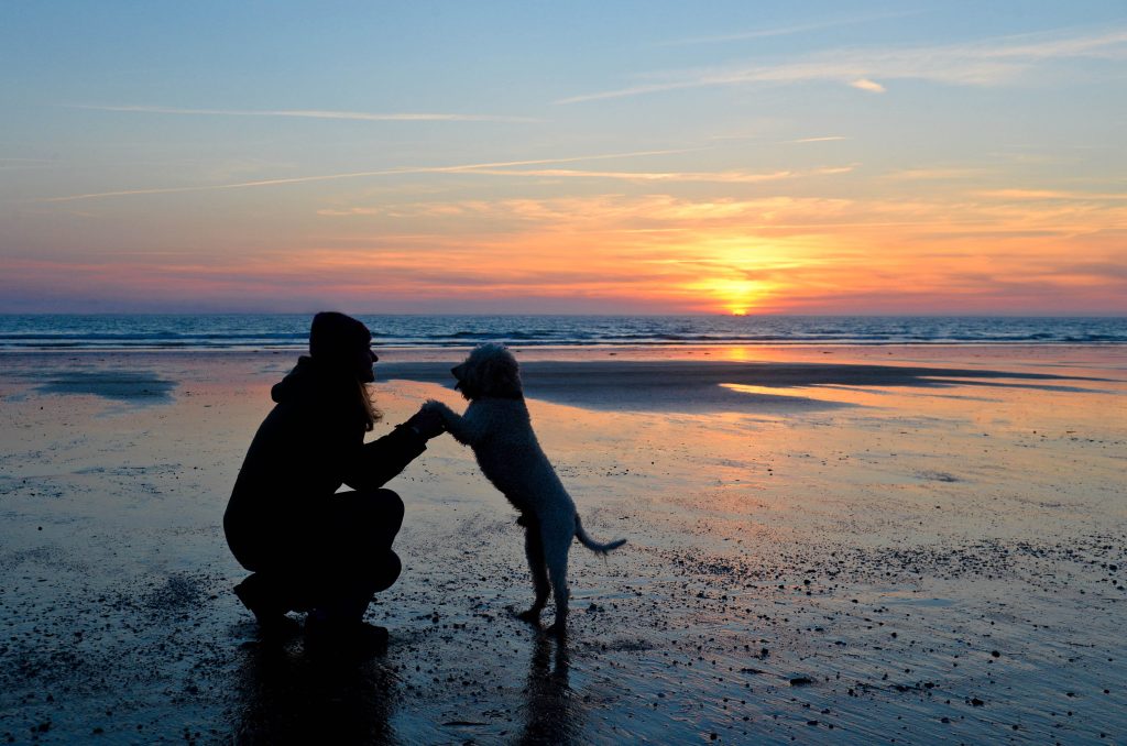 Nationalpark Wattenmeer